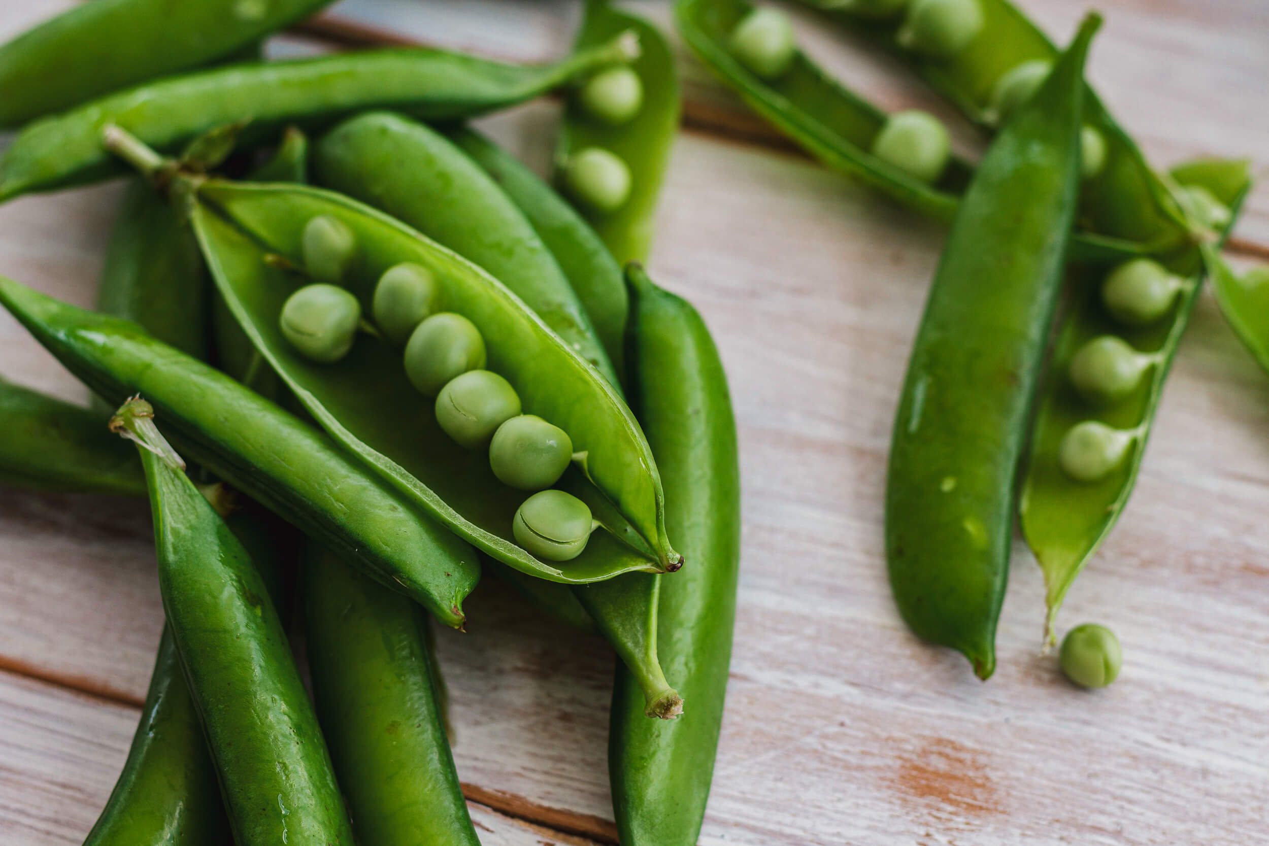 Nature’s Green Bounty