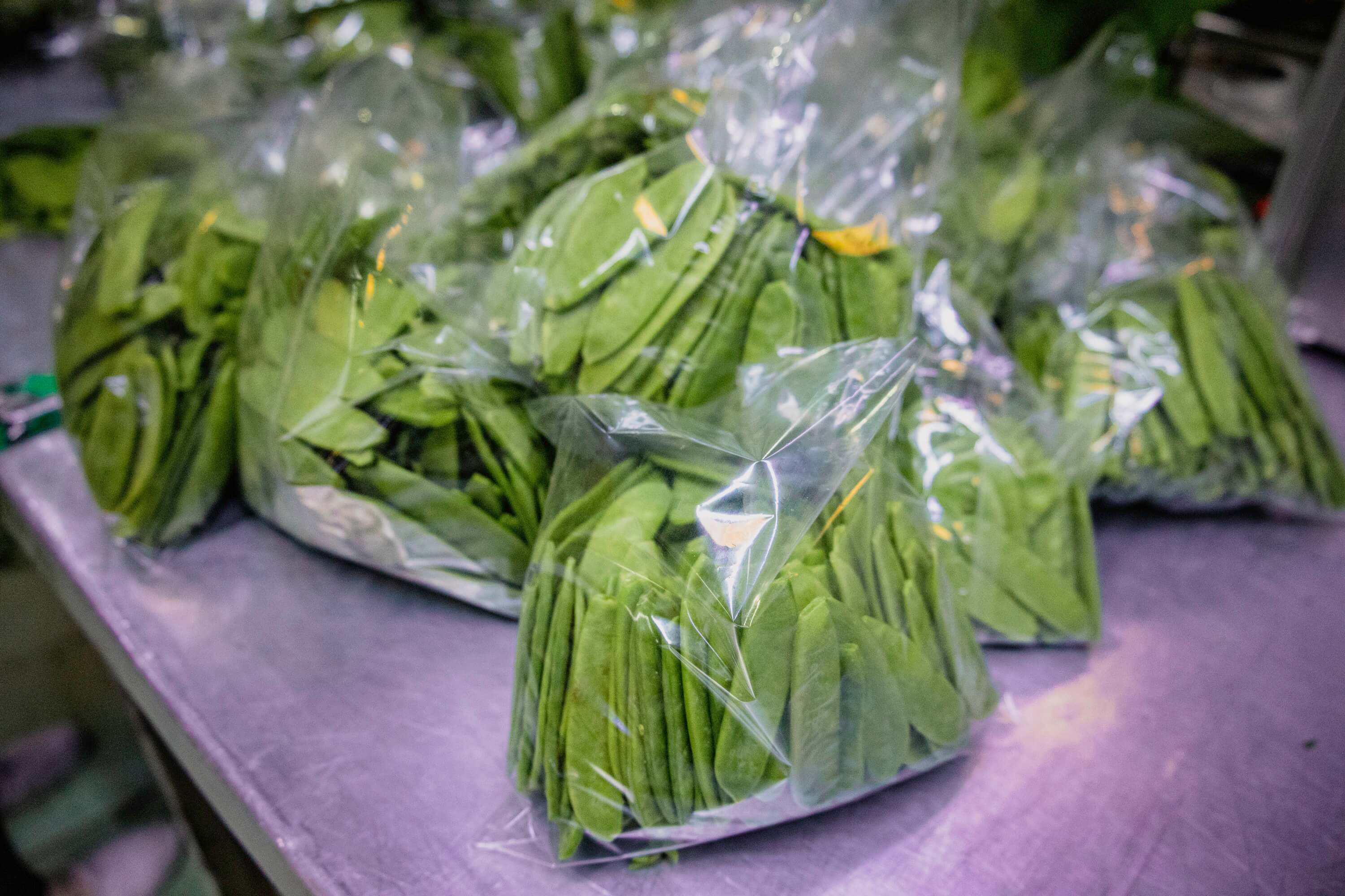 Fresh Vegetables
