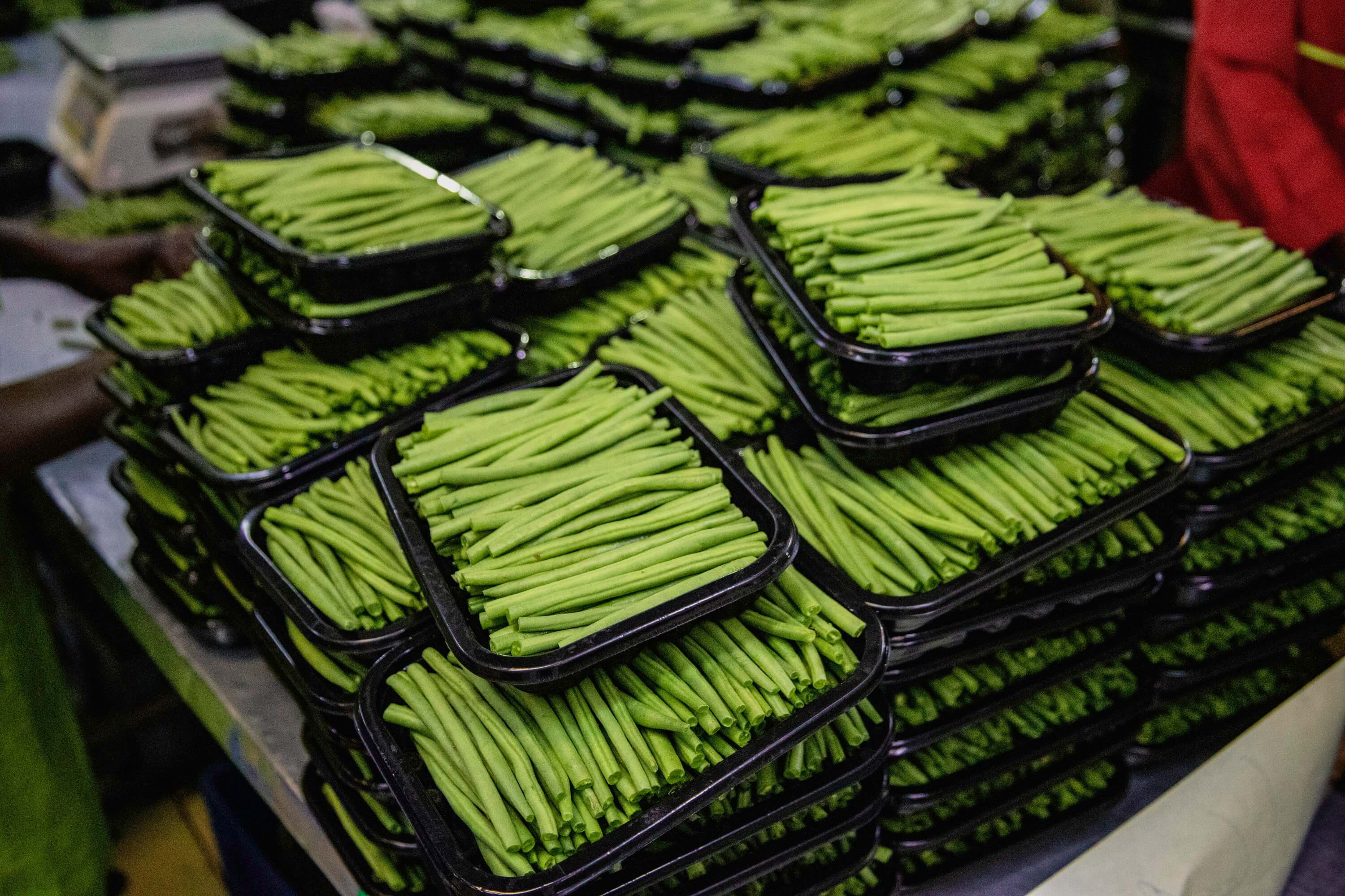 Fresh Vegetables