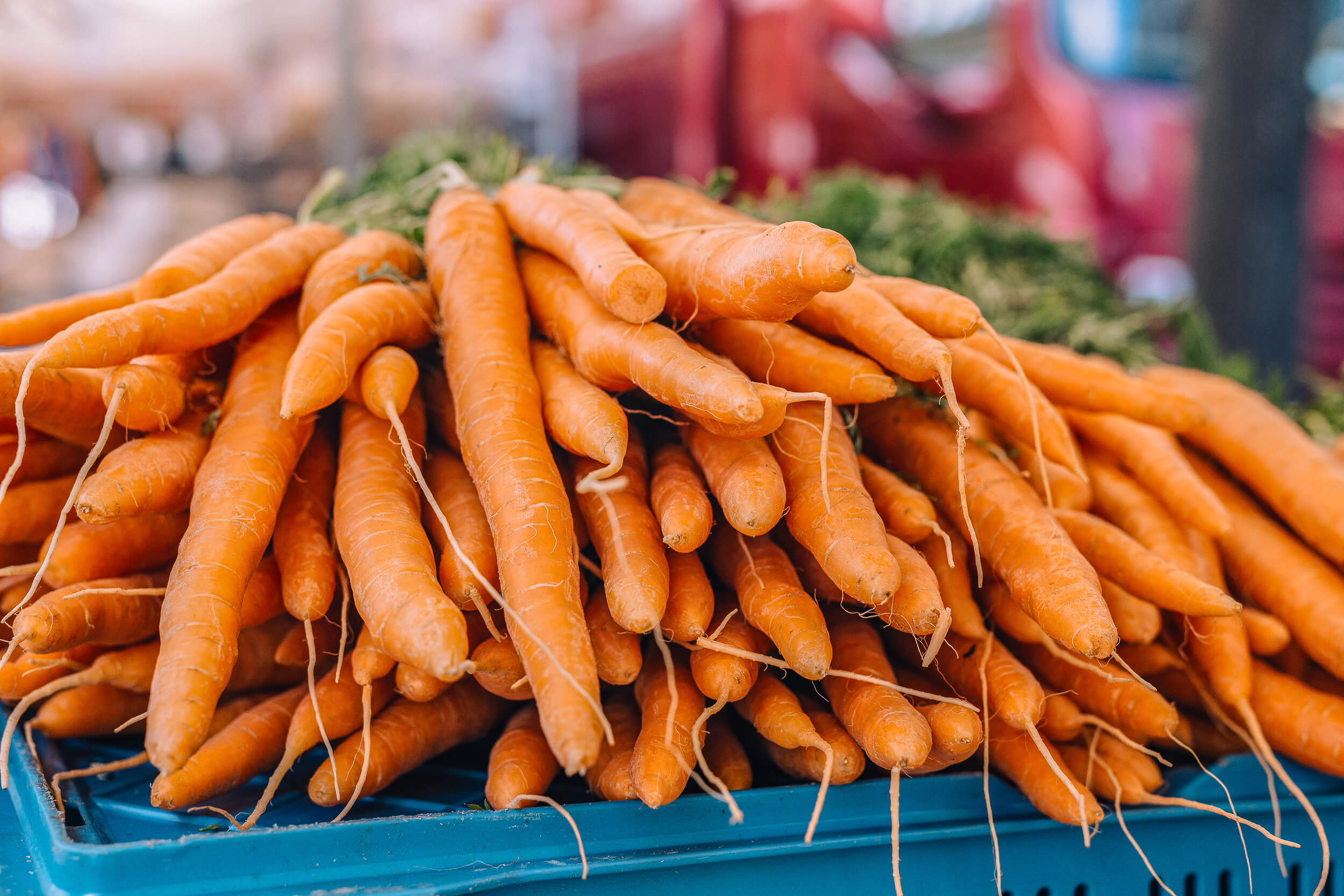 Premium Fresh Carrots