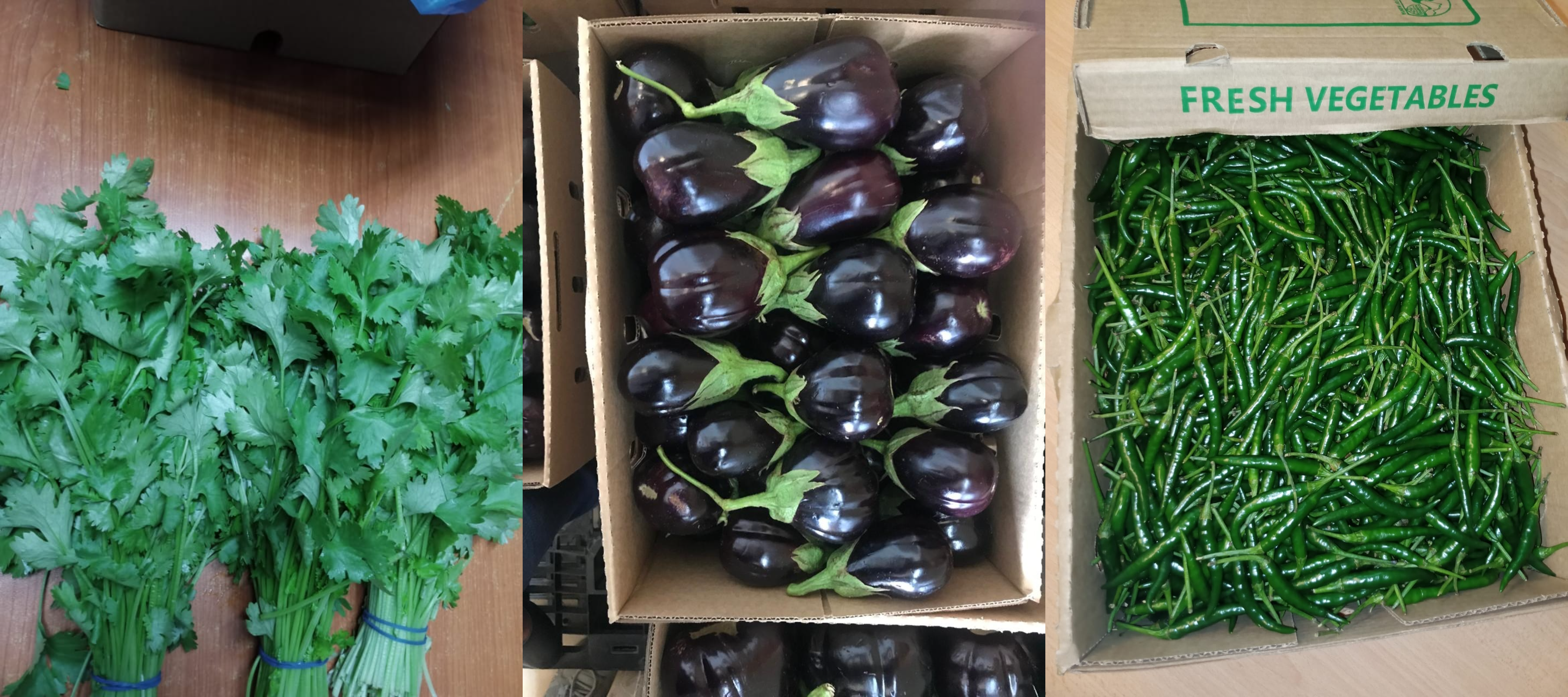 Premium Fresh Avocados