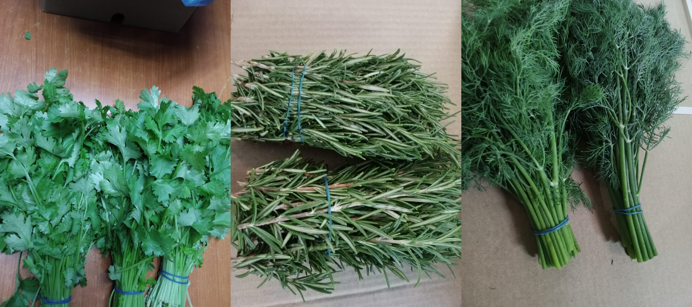 Assorted Herbs
