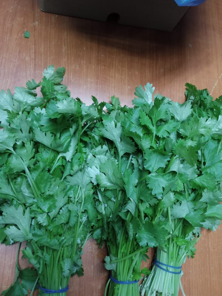 Nature’s Green Bounty