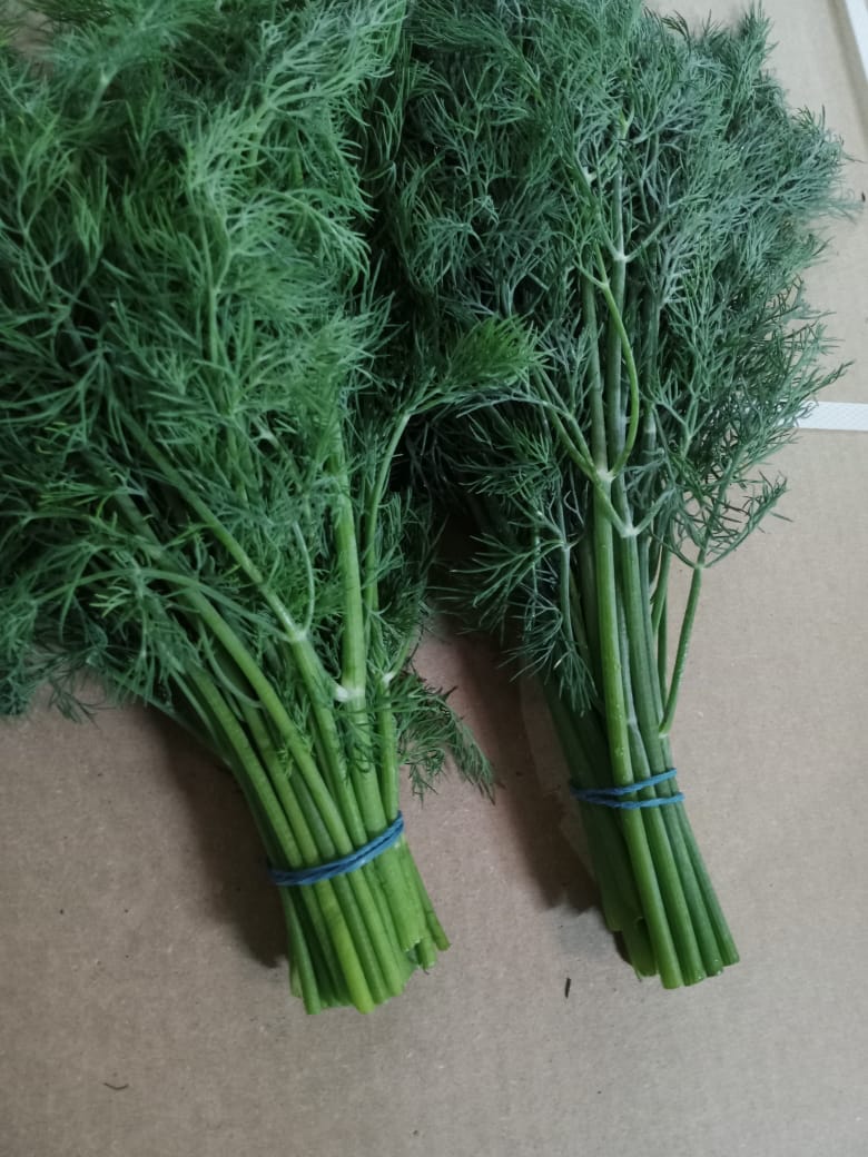 Nature’s Green Bounty