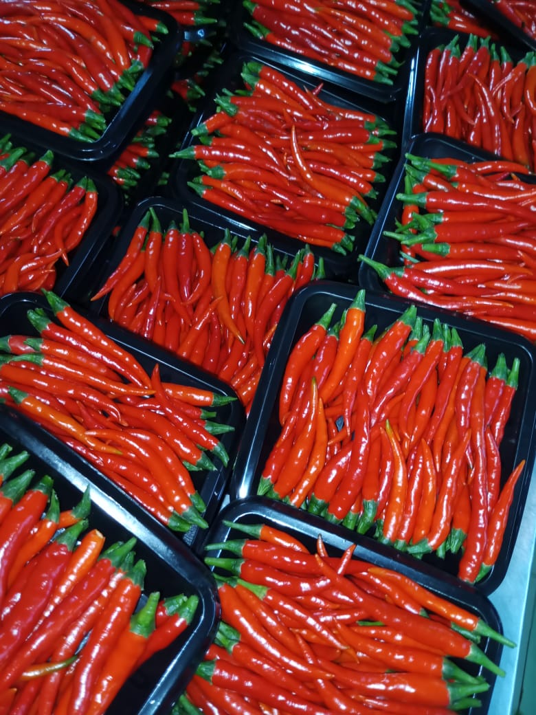 Chilies