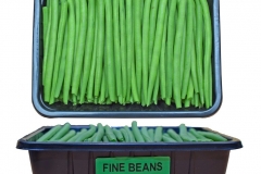 PR018-Fine-Beans-punnets-500g