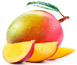mango-crop-u26172